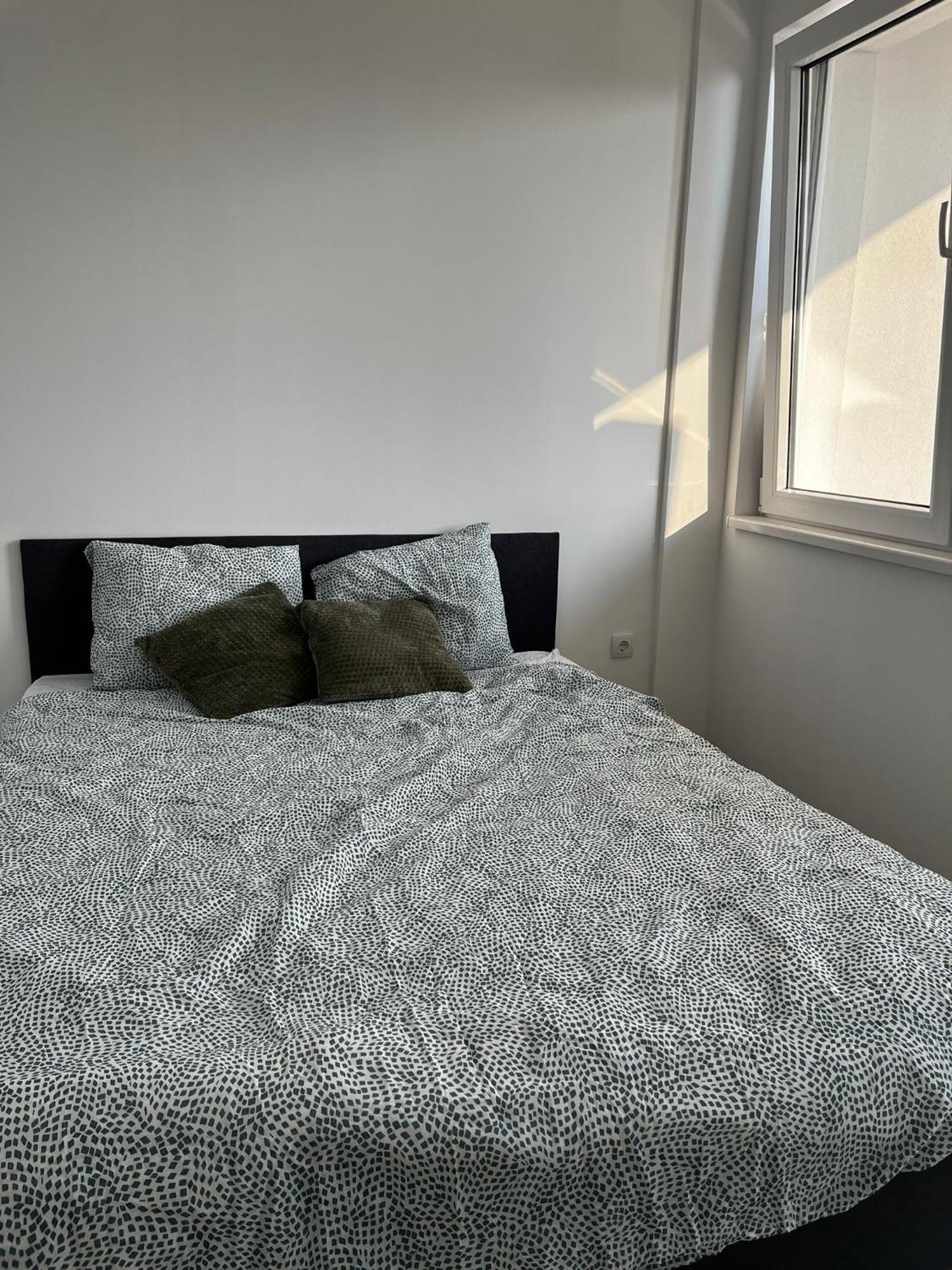 Radojkovic Lux Apartment Golubac Exterior photo